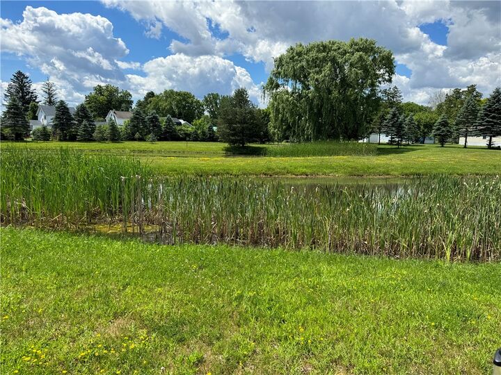 Property Photo:  1021 Waterloo Geneva  #84 Road  NY 13165 