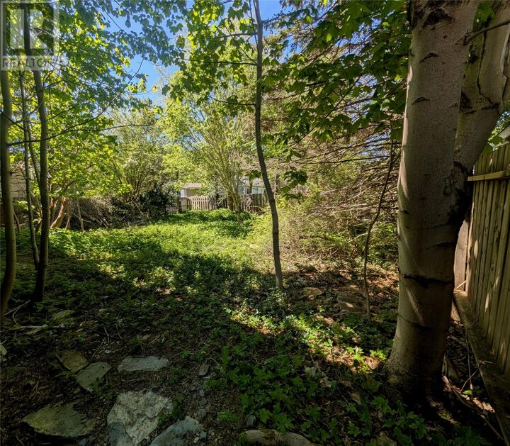 Property Photo:  72 Fox Avenue  NL A1B 2J2 