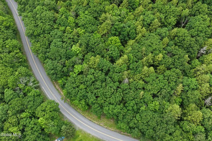 Property Photo:  L1.00 Cotton Hill Road  NY 12023 