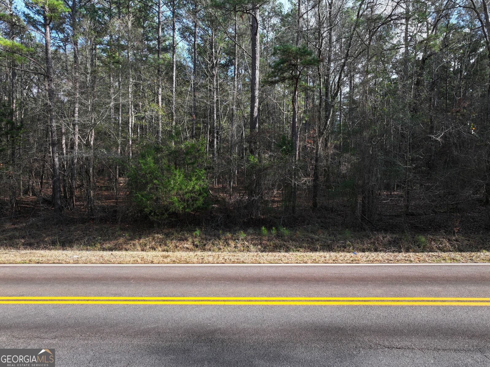 Property Photo: Lot 3 Salem Road GA 31822