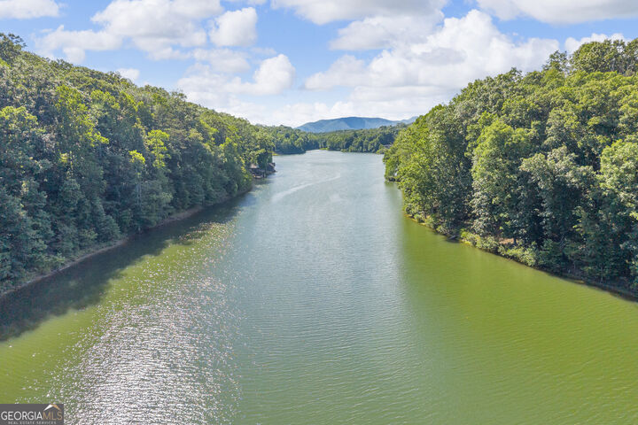 Property Photo: 0 Lake Watch Pt GA 30528