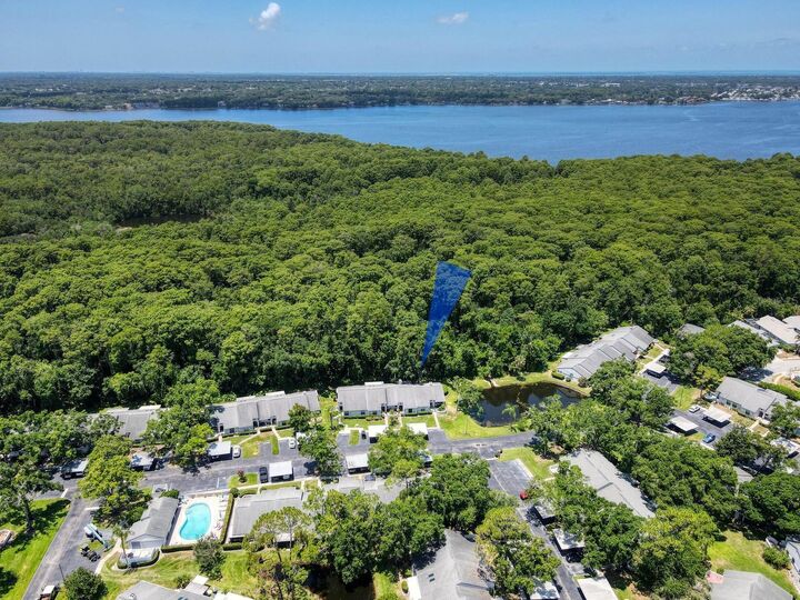 Property Photo:  3454 Killdeer Place  FL 34685 