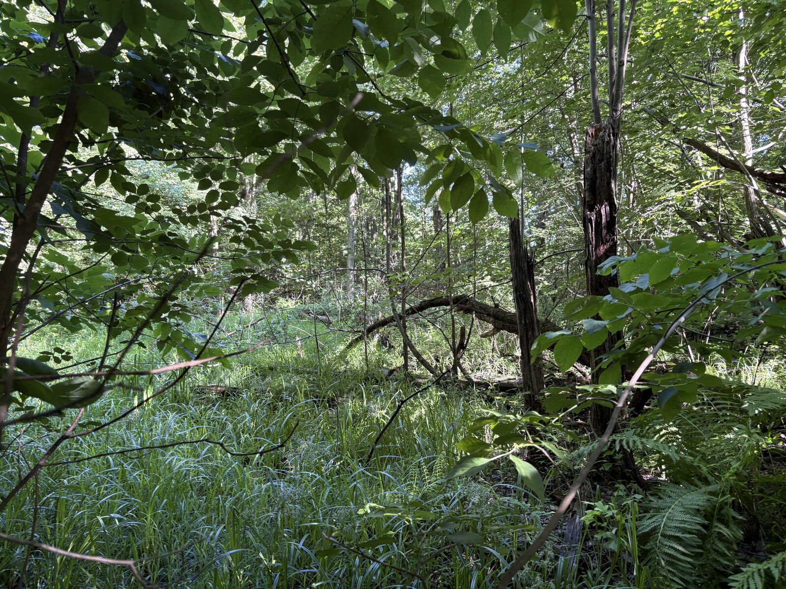 Property Photo:  104th Avenue  MI 49010 