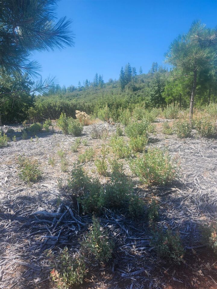 Property Photo:  19855 Incense Cedar Trail  CA 95321 