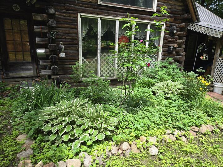 Property Photo: 208 Nh Route 3A NH 03243