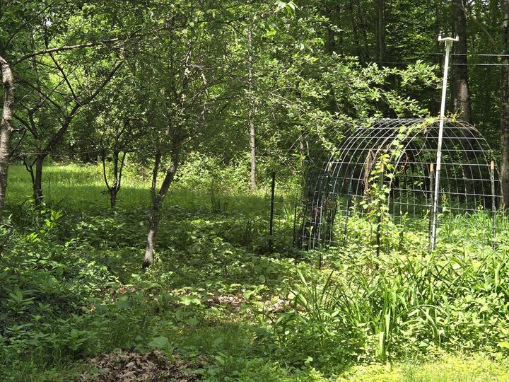 Property Photo: 208 Nh Route 3A NH 03243