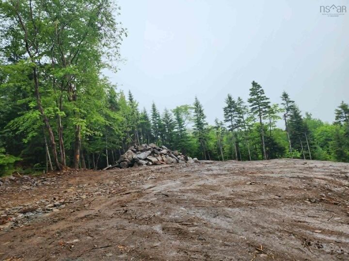 Property Photo:  206 Doherty Drive  NS B3Z 1A4 