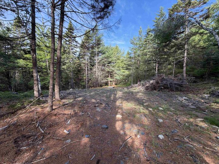Property Photo:  Lot 7 Huey Lake Road  NS B0R 1G0 