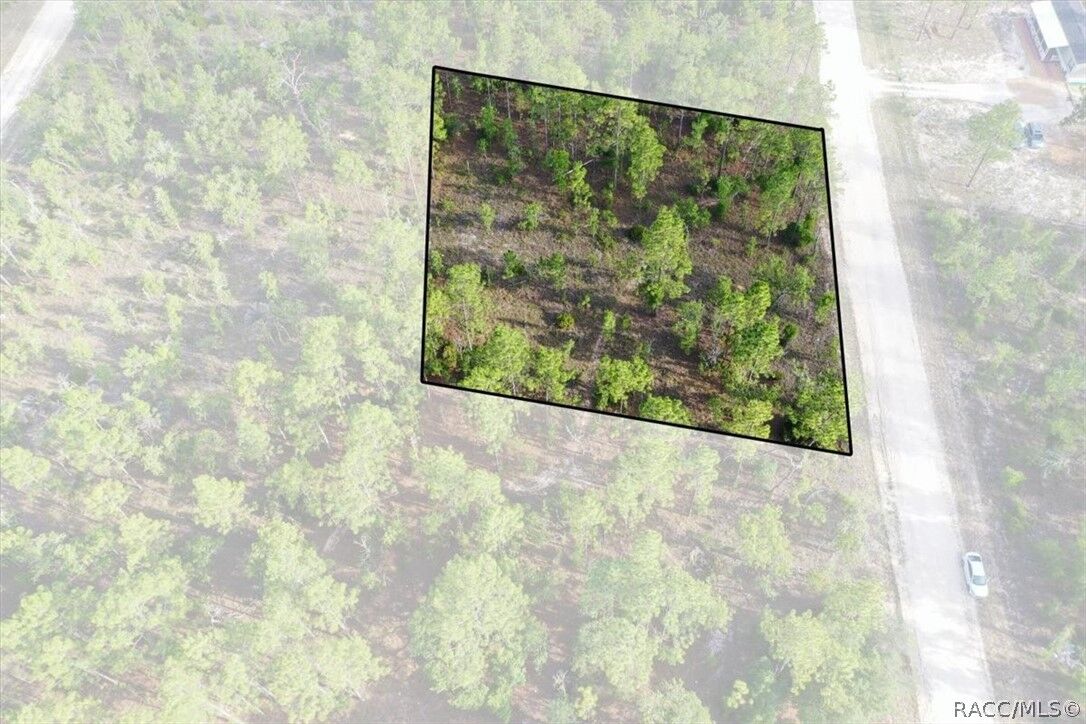 Property Photo:  0000 NE 131st Lot 8 Terrace  FL 32696 