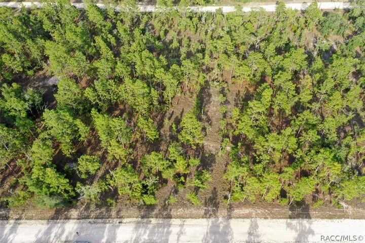 Property Photo:  0000 NE 131st Lot 7 Terrace  FL 32696 