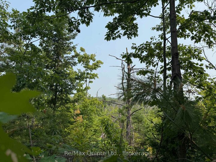 Property Photo:  0 Potter Settlement Road  ON K0K 3J0 