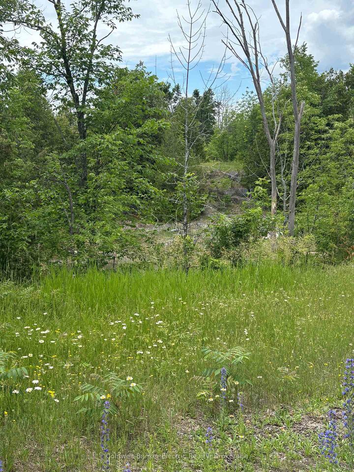 0 Tower Road — photo 1