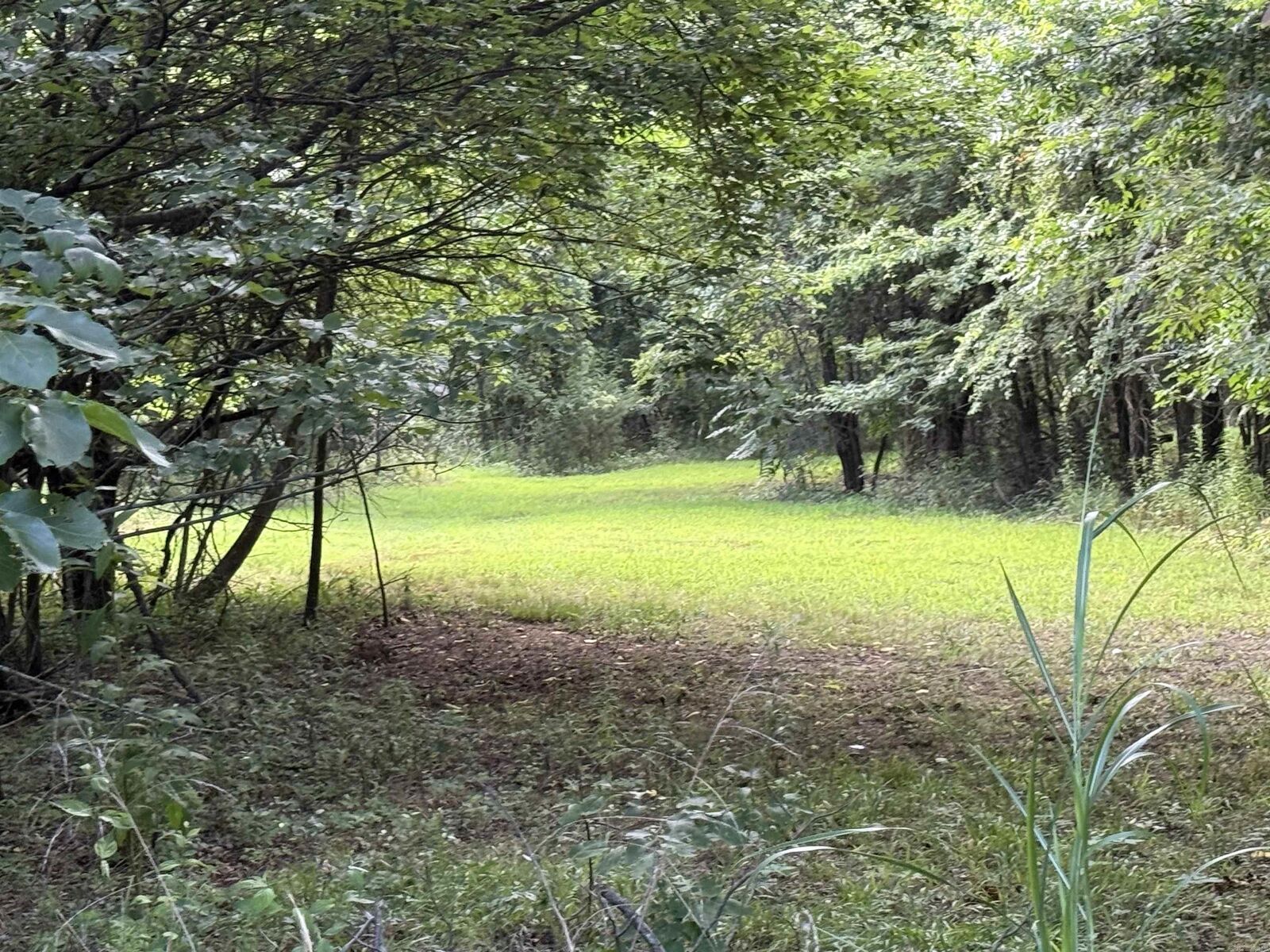 Property Photo:  582 County Road 2291  AR 72840 