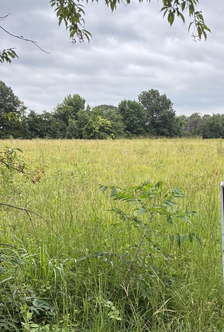 Property Photo:  820 S Macon  AR 72802 