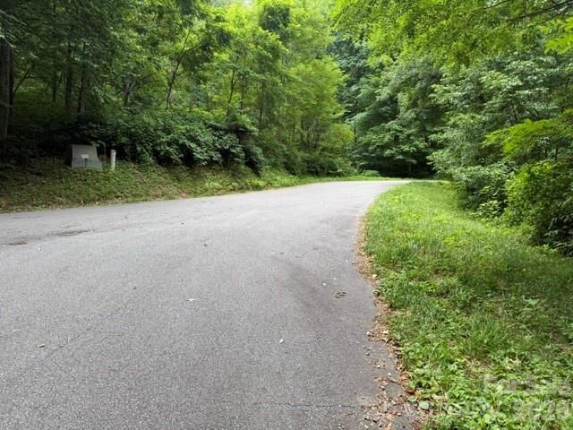 Property Photo:  Lot 43 Gata Trail 43  NC 28751 