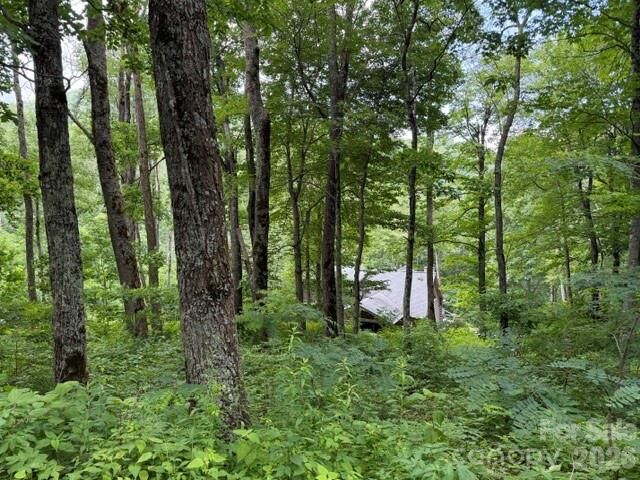 Property Photo: Lot 21 Odalu Trail 21 NC 28751