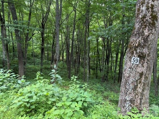 Property Photo:  Lot 59 Odalu Trail 59  NC 28751 