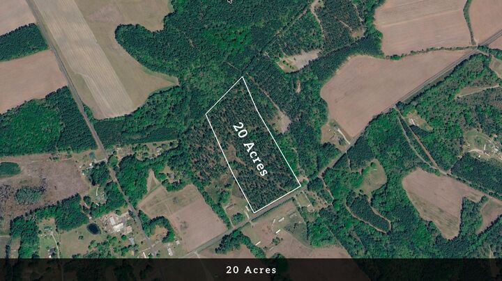 Property Photo:  0 Toney Bay Road  SC 29059 