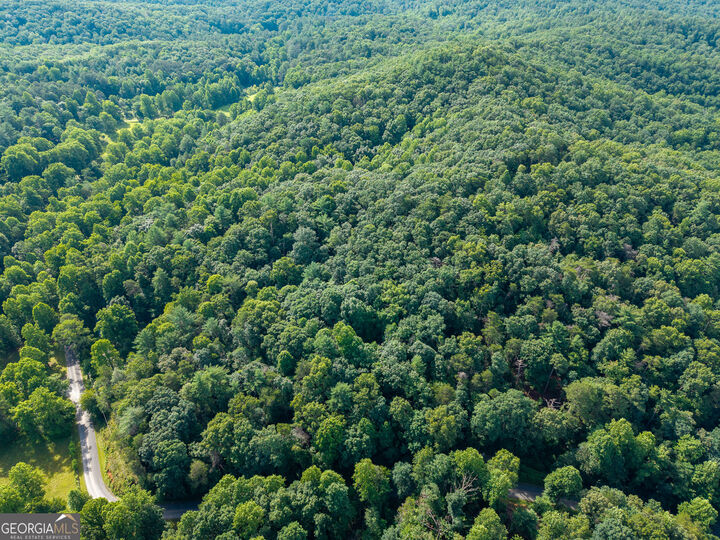 Property Photo:  5198 Flat Branch Road  GA 30540 