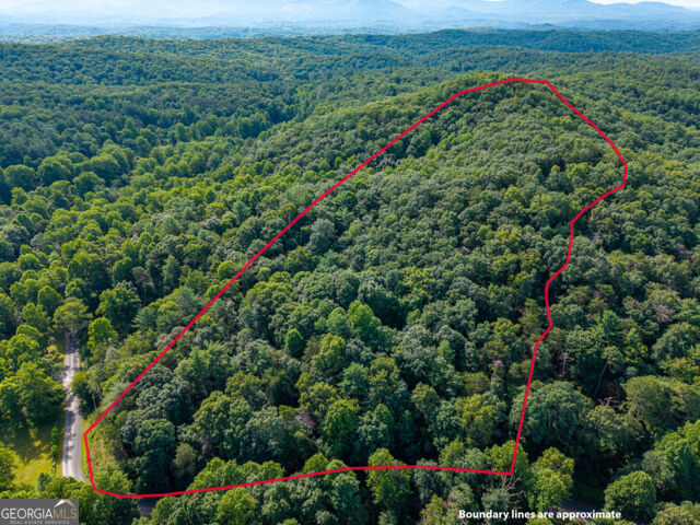 Property Photo:  5198 Flat Branch Road  GA 30540 