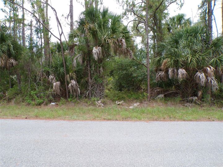 Property Photo: Lummus Street FL 34286
