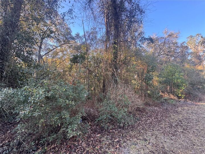 Property Photo:  0 198th Lane  FL 32134 