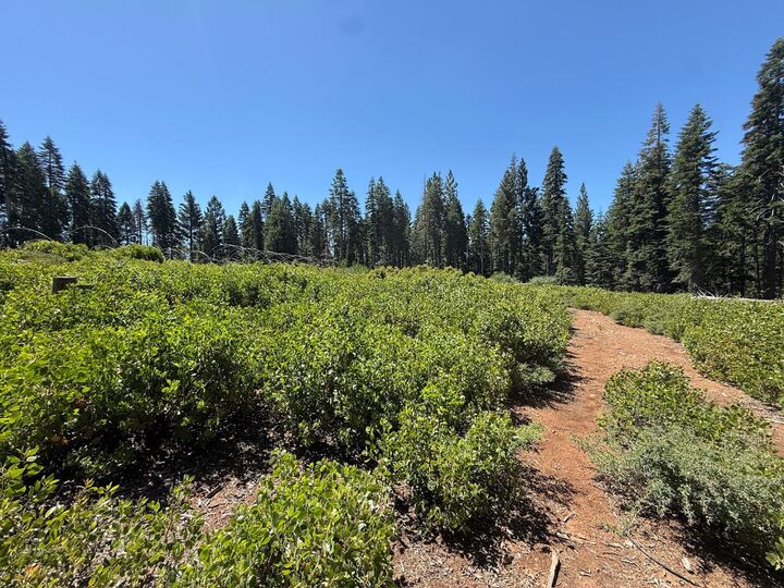 Property Photo:  30457 N Bloomfield-Graniteville Road  CA 95959 