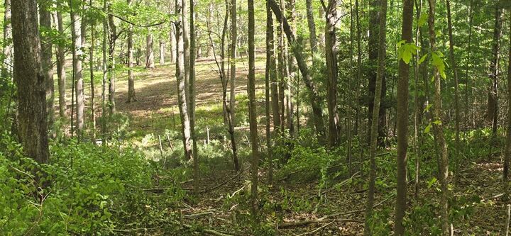 Property Photo:  Lot 3-4 Scouts Overlook Lane  GA 30560 