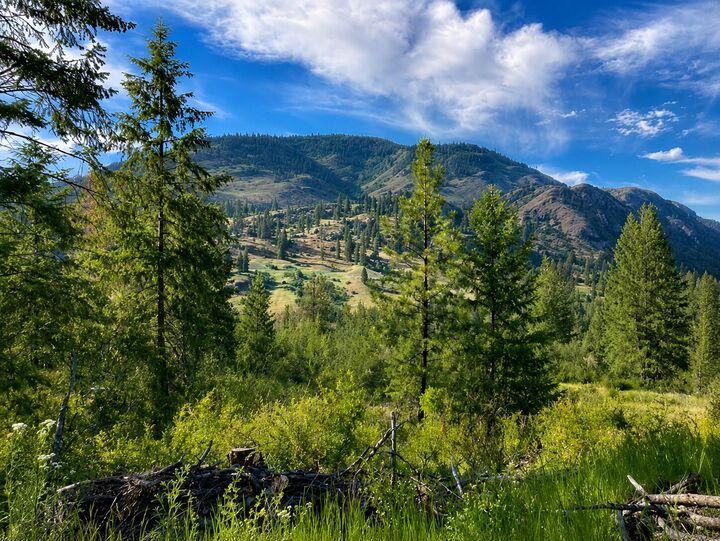Property Photo: 3634 Highway 25 N WA 99157