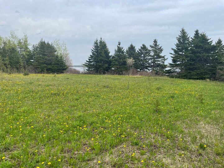 Property Photo:  Acreage Macauleys Wharf Road  PE C0A 1A0 