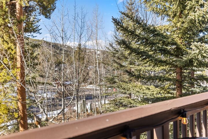 Property Photo:  45 Trappers Crossing Trail 8754  CO 80435 