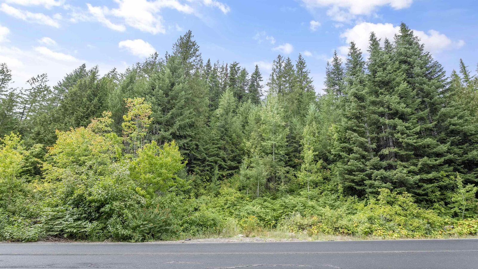 Property Photo:  234xx N Mt Spokane Park Dr  WA 99021 