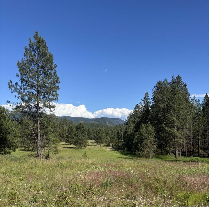 Property Photo:  2392 Cozy Nook Rd  WA 99109 
