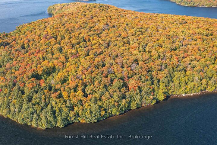 Property Photo:  0 Bear Island  ON P0A 1E0 