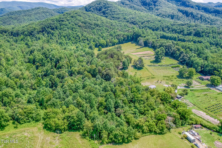 Property Photo:  1685 Highway 107 - 22 Acre  TN 37659 