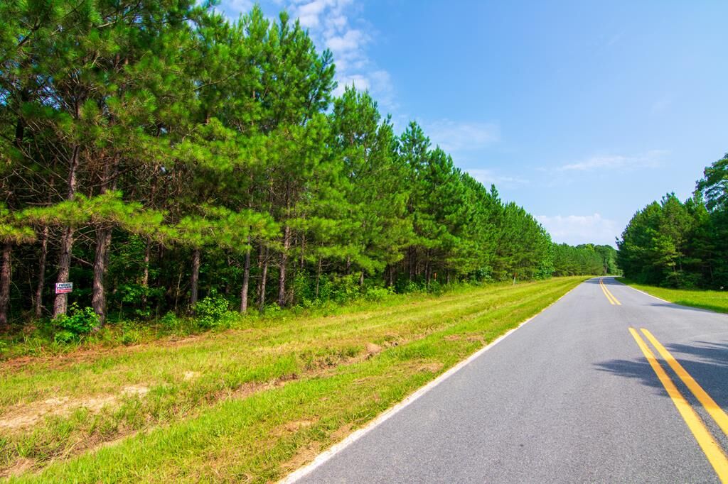 Property Photo:  0 County Road 0071  GA 31831 
