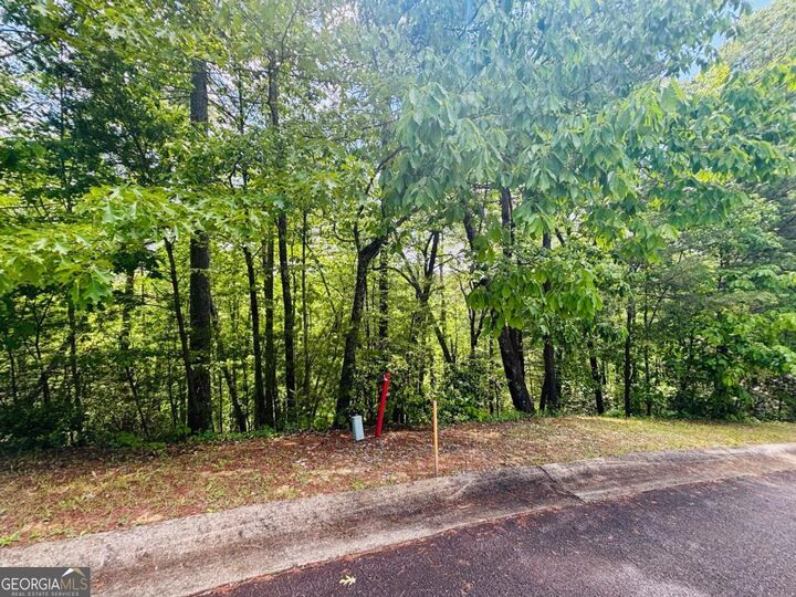 Property Photo: 0 Rosen Strasse - Lot 141 GA 30545