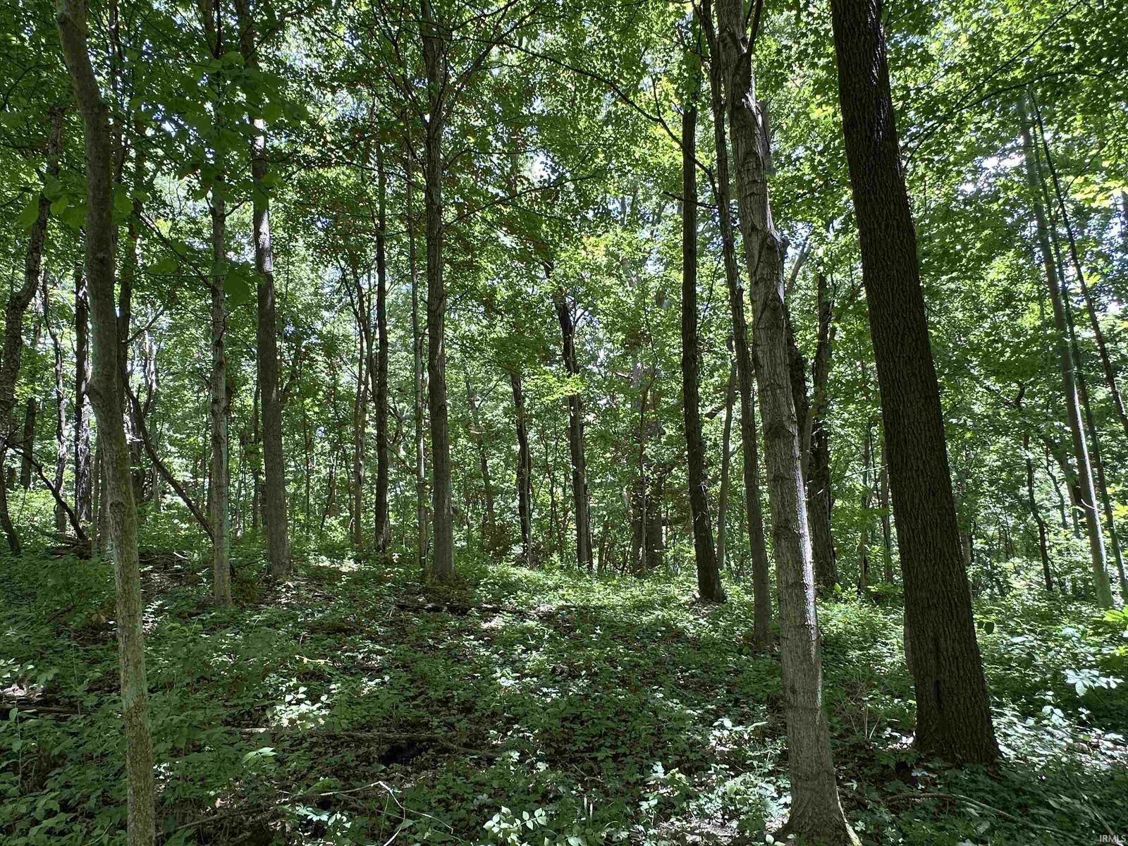 Property Photo:  4645 S West County Line Road  IN 46814 