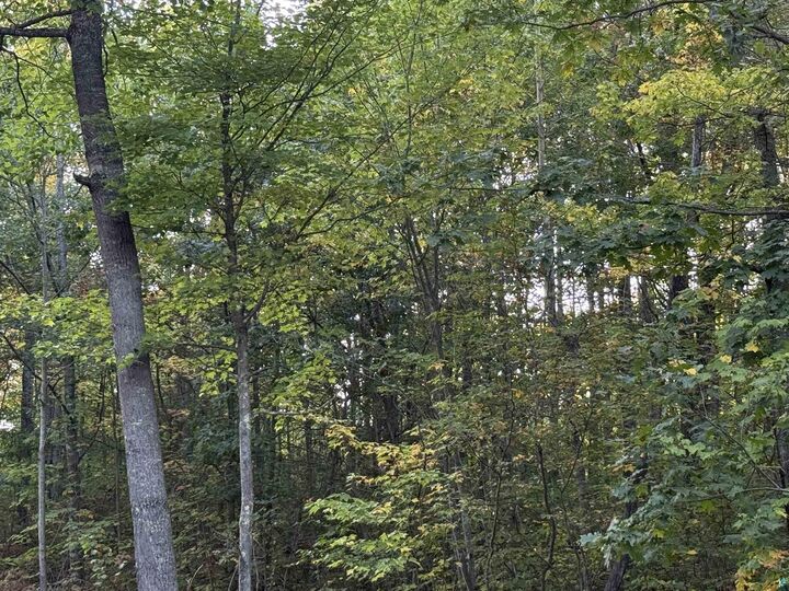 Property Photo:  000 Highway 2  WI 54847 