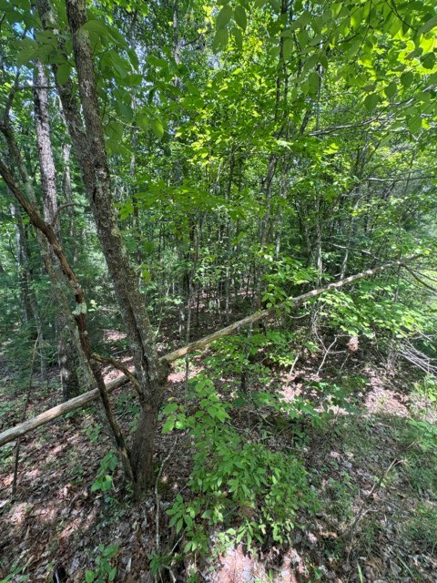 Property Photo: Tr 3 & 4 Lakeland Drive GA 30540