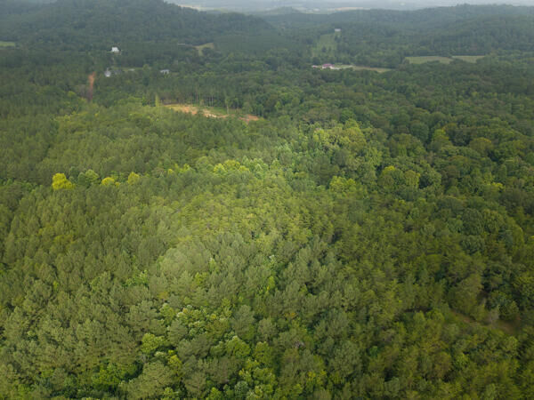 Property Photo:  000 County Road 752  TN 37370 