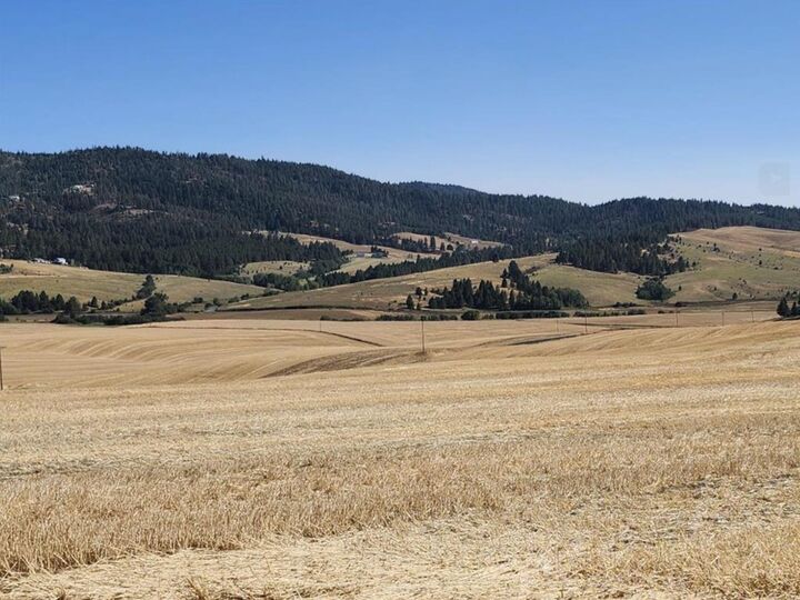 Property Photo:  8006 S Jackson Rd  WA 99023 