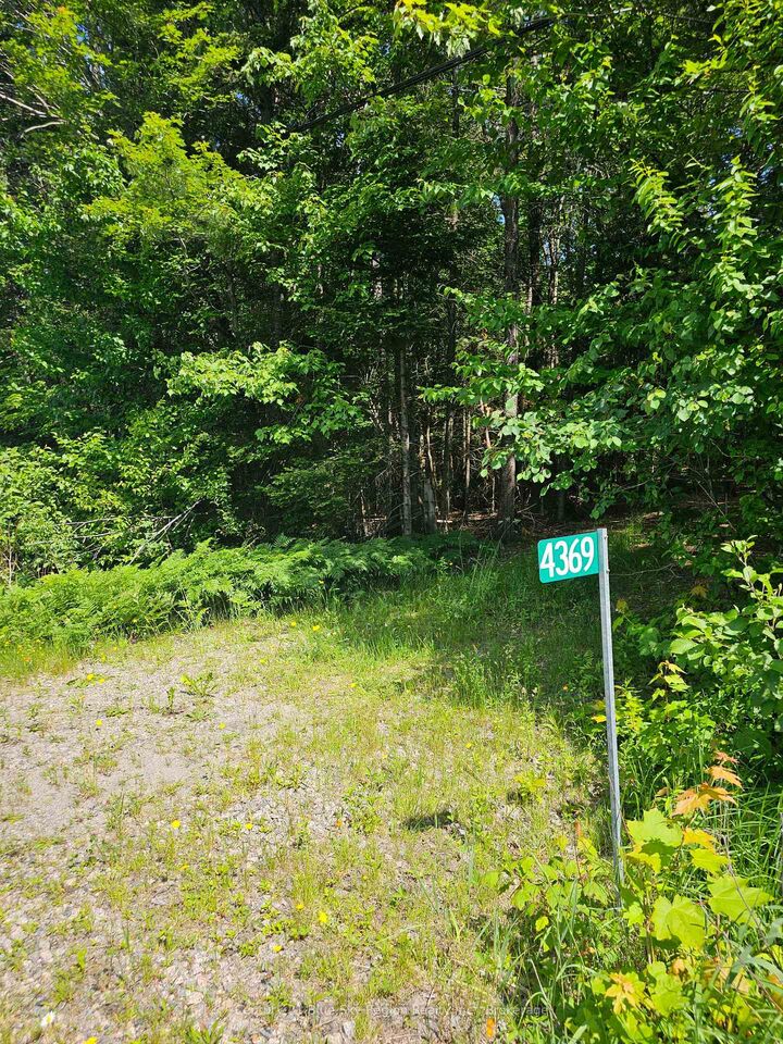 4369 Highway 534 N/A — photo 1