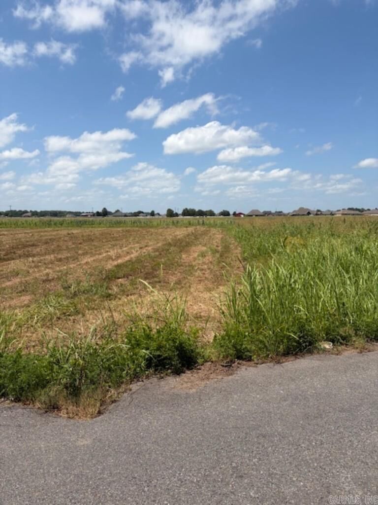 Property Photo: Lot 3 Upper Steel Bend Road AR 72142