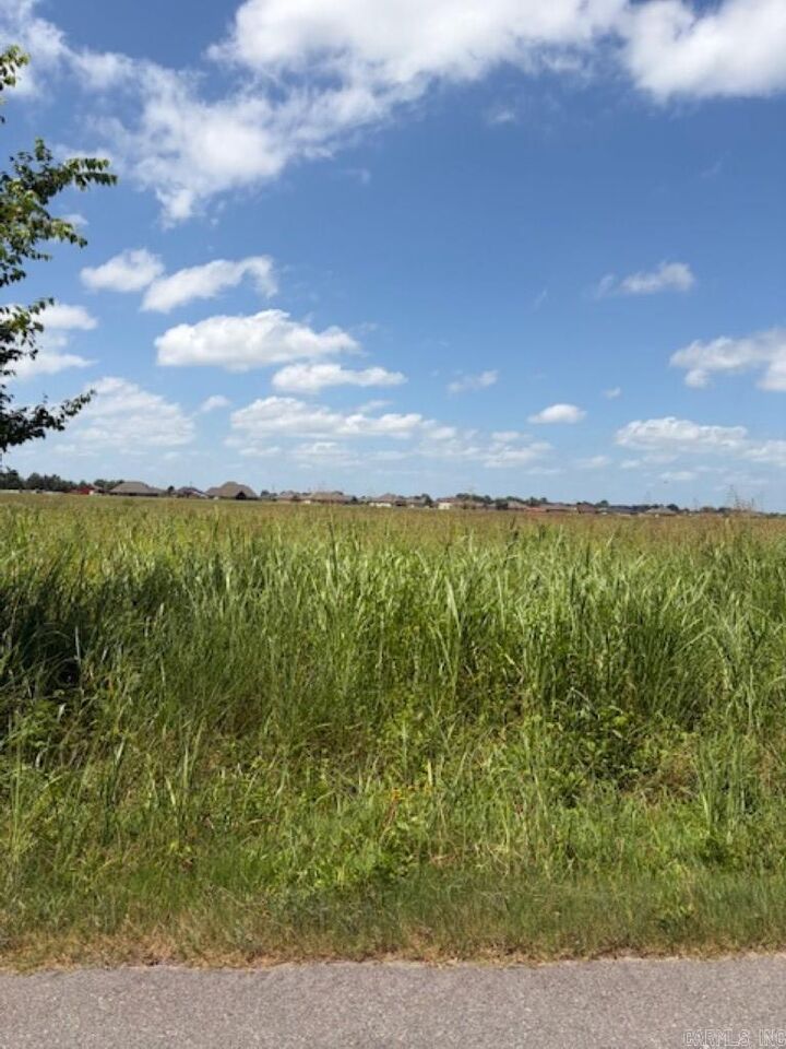 Property Photo: Lot 5 Upper Steel Bend Road AR 72142
