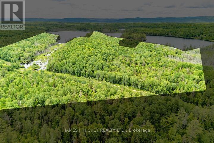 Property Photo:  299 Ko Lodge Trail Road  ON K0J 1P0 