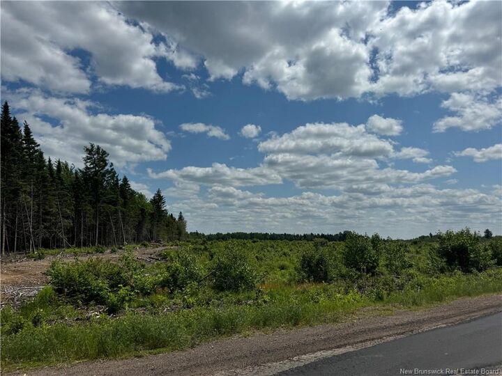 Property Photo:  Vacant Lot Murray Road  NB E4T 1W3 
