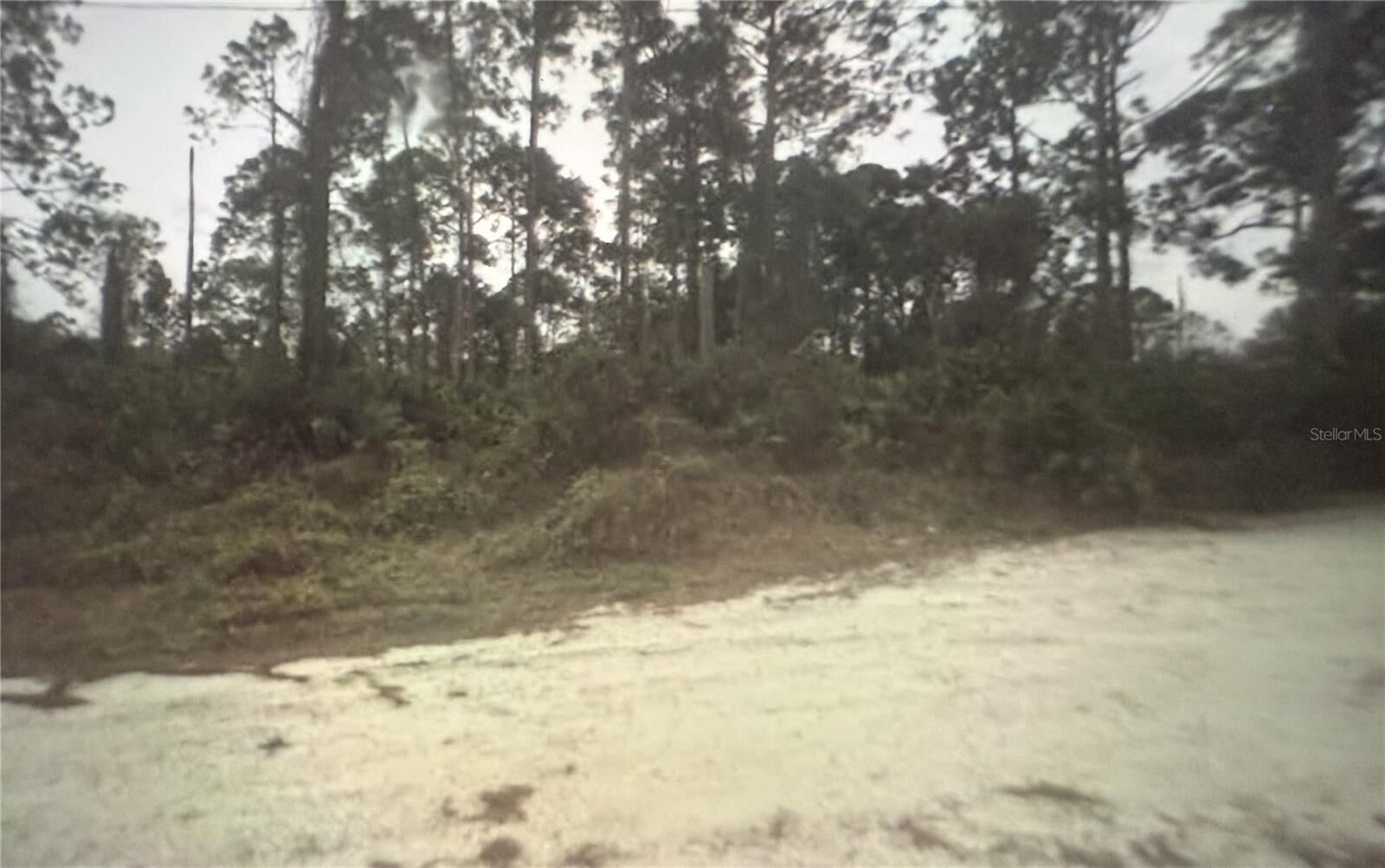 Property Photo:  350 Tern Avenue  FL 33870 