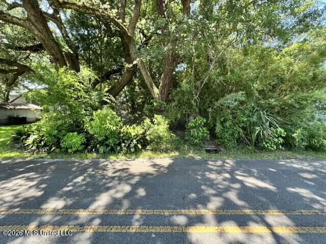 Property Photo: 811 Lafayette Avenue MS 39567