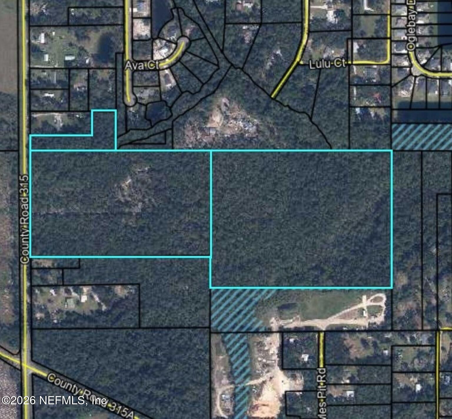 Property Photo: 3771 County Road 315 FL 32043